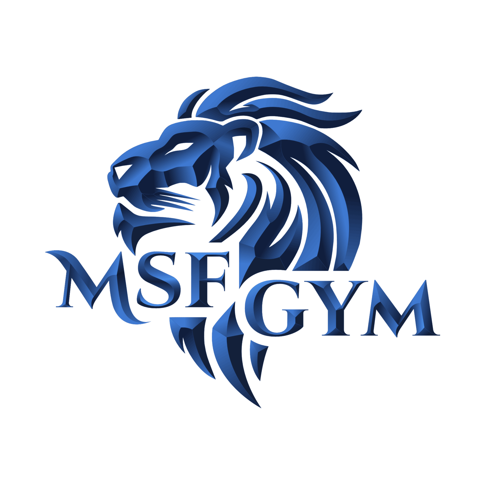 MSF Gym